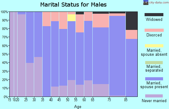 Zip code 49106 marital status for males