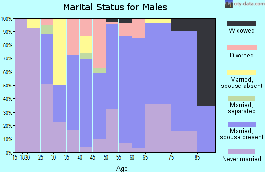 Zip code 49111 marital status for males