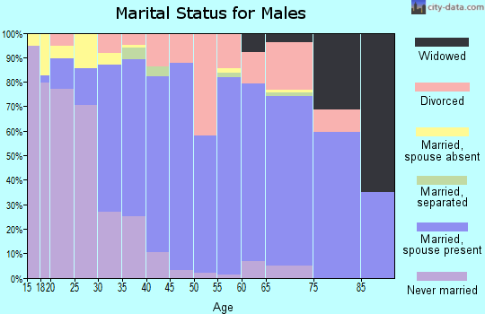 Zip code 49112 marital status for males