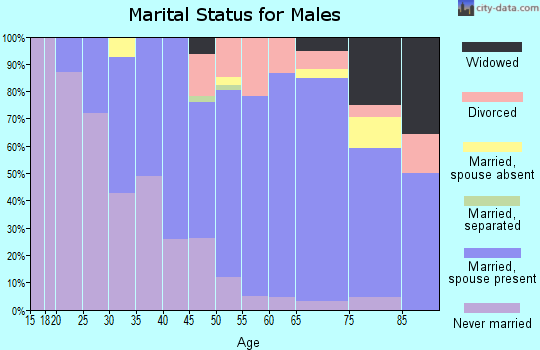Zip code 49113 marital status for males