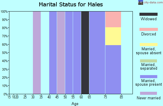 Zip code 49116 marital status for males