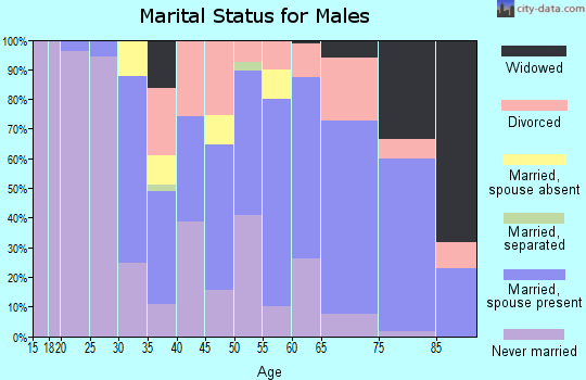 Zip code 49117 marital status for males