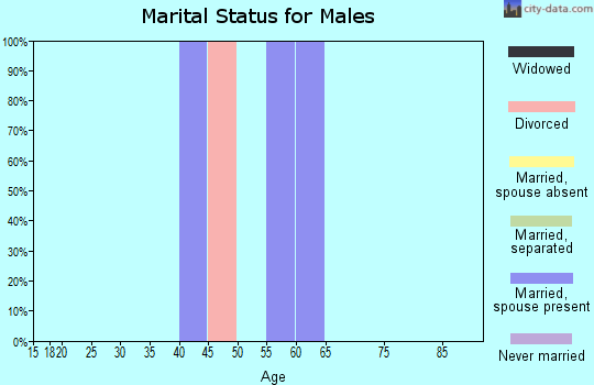 Zip code 49119 marital status for males