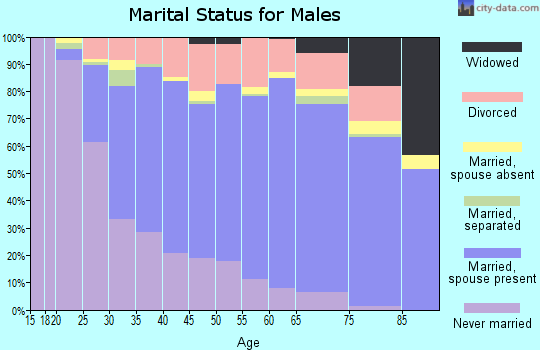 Zip code 49120 marital status for males