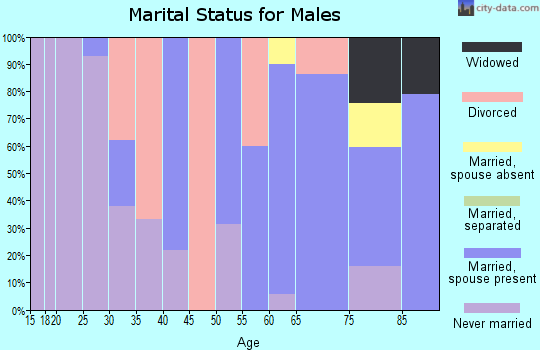 Zip code 49125 marital status for males