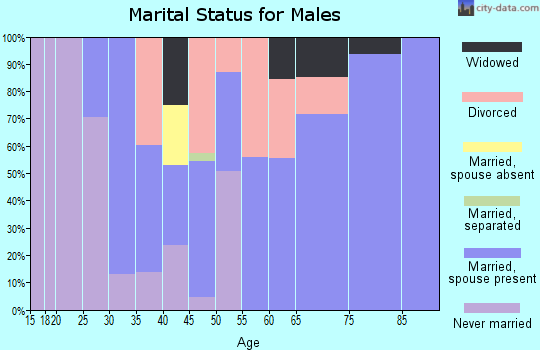 Zip code 49126 marital status for males