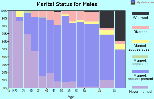 Zip code 49127 marital status for males