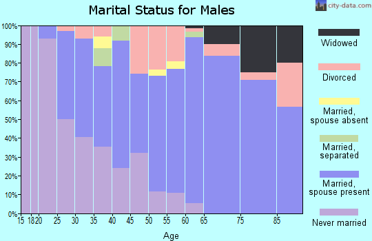 Zip code 49128 marital status for males
