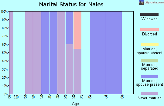Zip code 49129 marital status for males