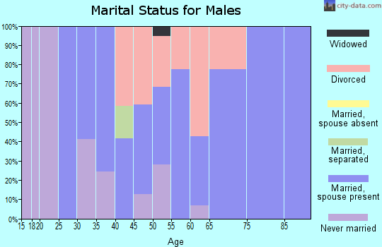 Zip code 49130 marital status for males