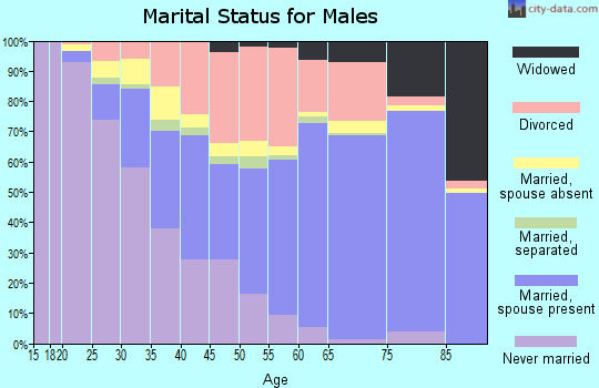 Zip code 49201 marital status for males