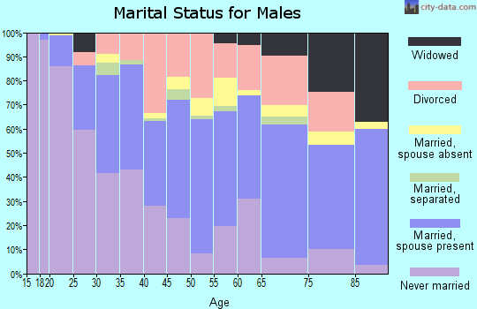 Zip code 49202 marital status for males