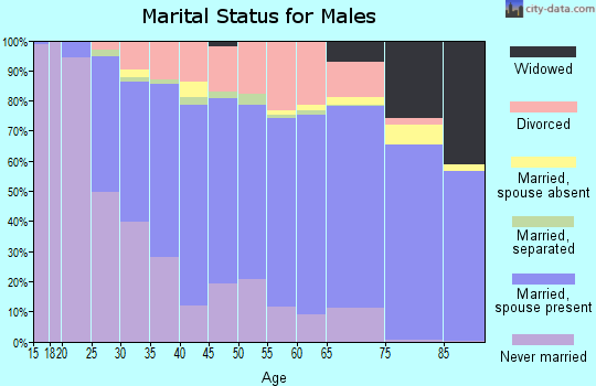 Zip code 49203 marital status for males