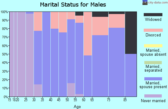 Zip code 49220 marital status for males