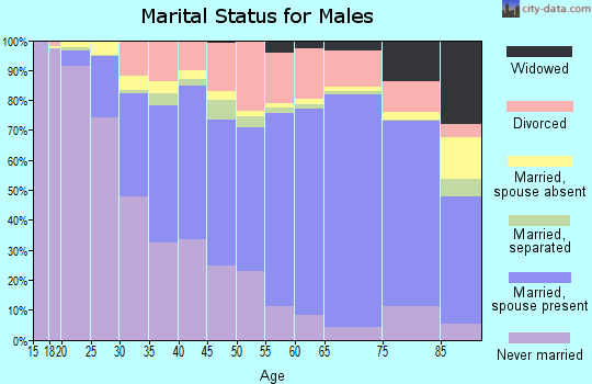 Zip code 49221 marital status for males