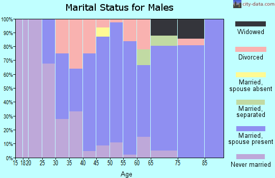 Zip code 49227 marital status for males