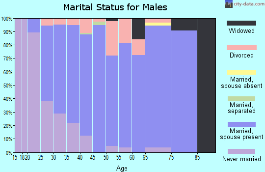 Zip code 49229 marital status for males