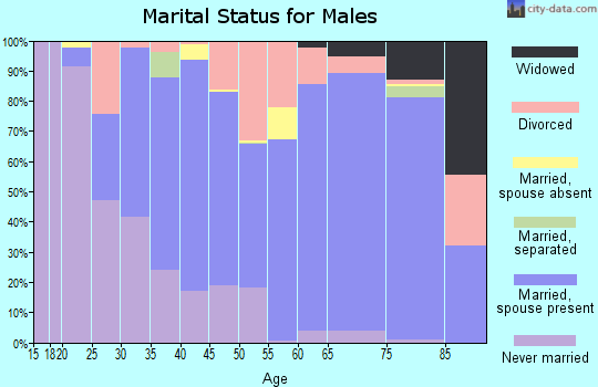 Zip code 49230 marital status for males