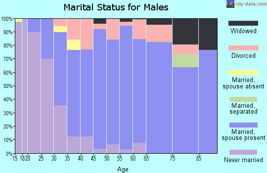 Zip code 49232 marital status for males