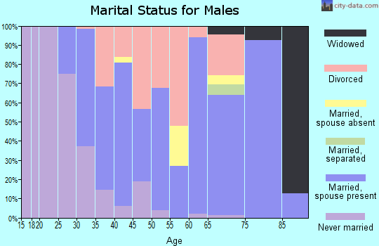 Zip code 49233 marital status for males