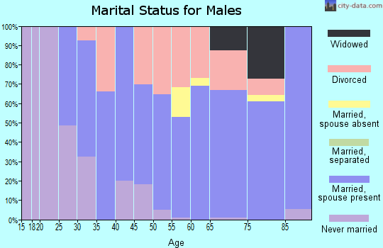 Zip code 49234 marital status for males