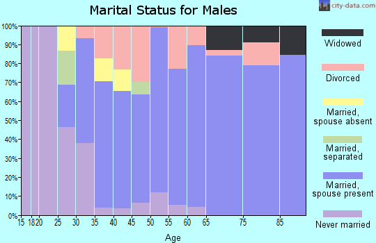Zip code 49235 marital status for males