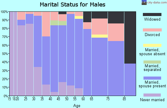Zip code 49236 marital status for males