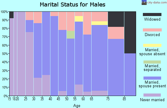Zip code 49237 marital status for males