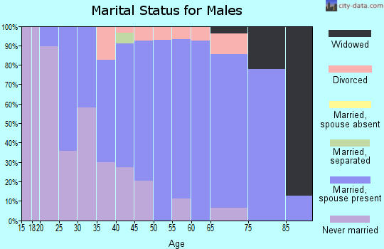 Zip code 49238 marital status for males