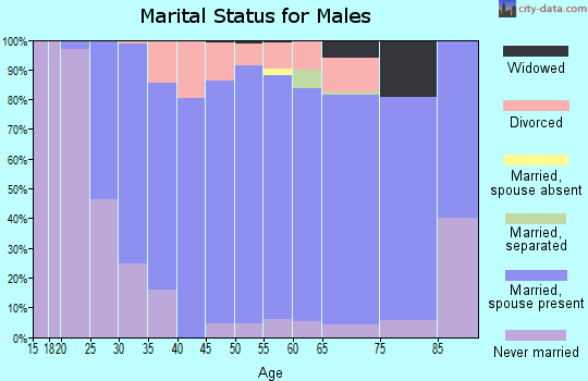 Zip code 49240 marital status for males