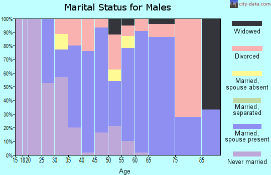 Zip code 49241 marital status for males