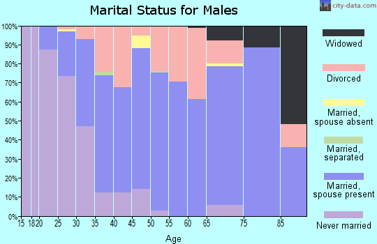 Zip code 49245 marital status for males