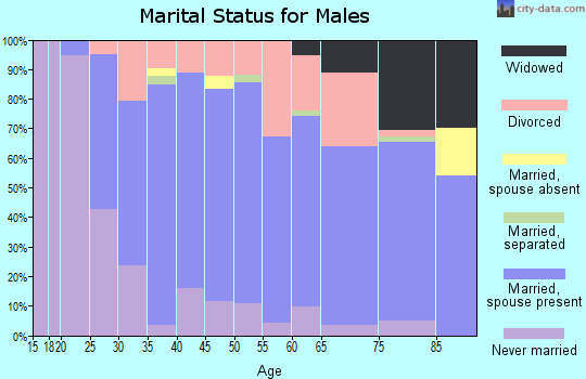 Zip code 49247 marital status for males