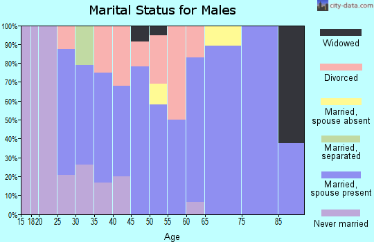 Zip code 49248 marital status for males