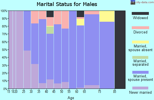 Zip code 49249 marital status for males