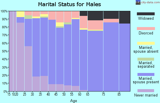 Zip code 49250 marital status for males