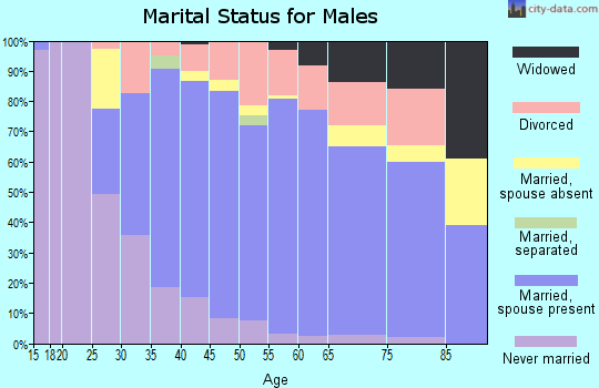 Zip code 49251 marital status for males