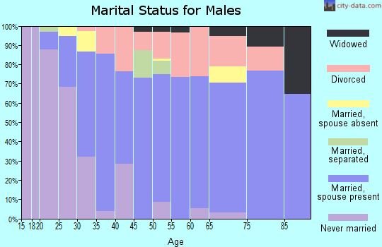 Zip code 49252 marital status for males