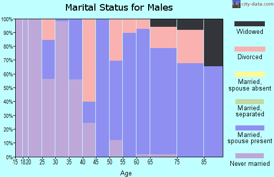 Zip code 49253 marital status for males