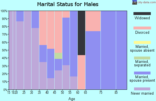 Zip code 49254 marital status for males