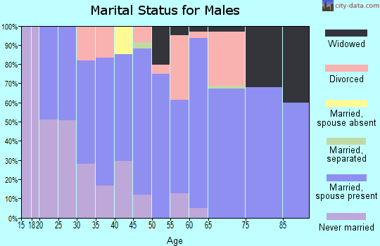 Zip code 49255 marital status for males