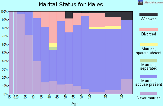 Zip code 49256 marital status for males