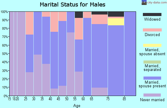 Zip code 49262 marital status for males