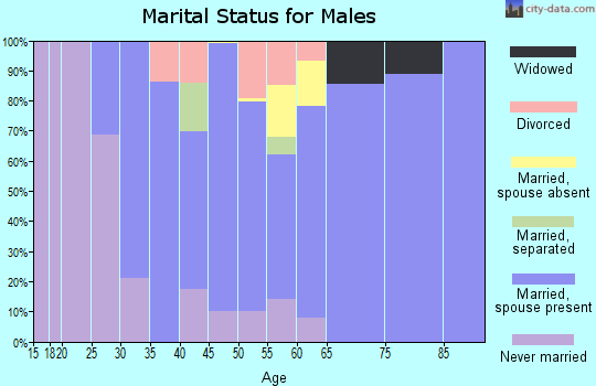 Zip code 49267 marital status for males