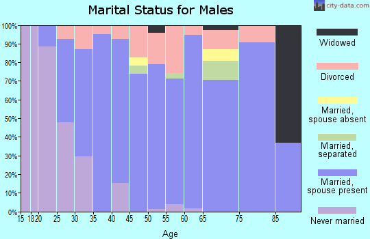 Zip code 49271 marital status for males