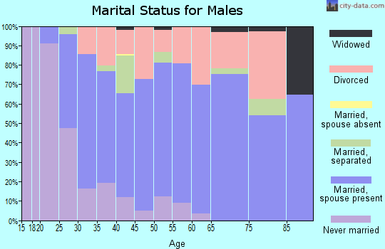 Zip code 49274 marital status for males