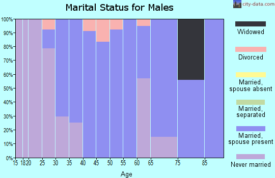 Zip code 49276 marital status for males