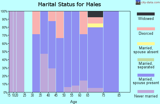 Zip code 49279 marital status for males
