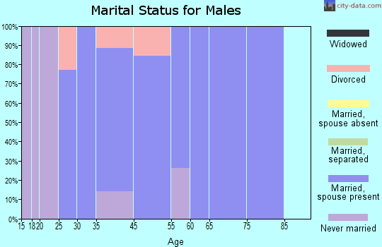 Zip code 49281 marital status for males