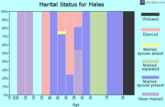 Zip code 49282 marital status for males